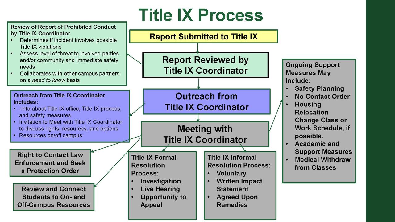 Image of Title IX Overview Flowchart